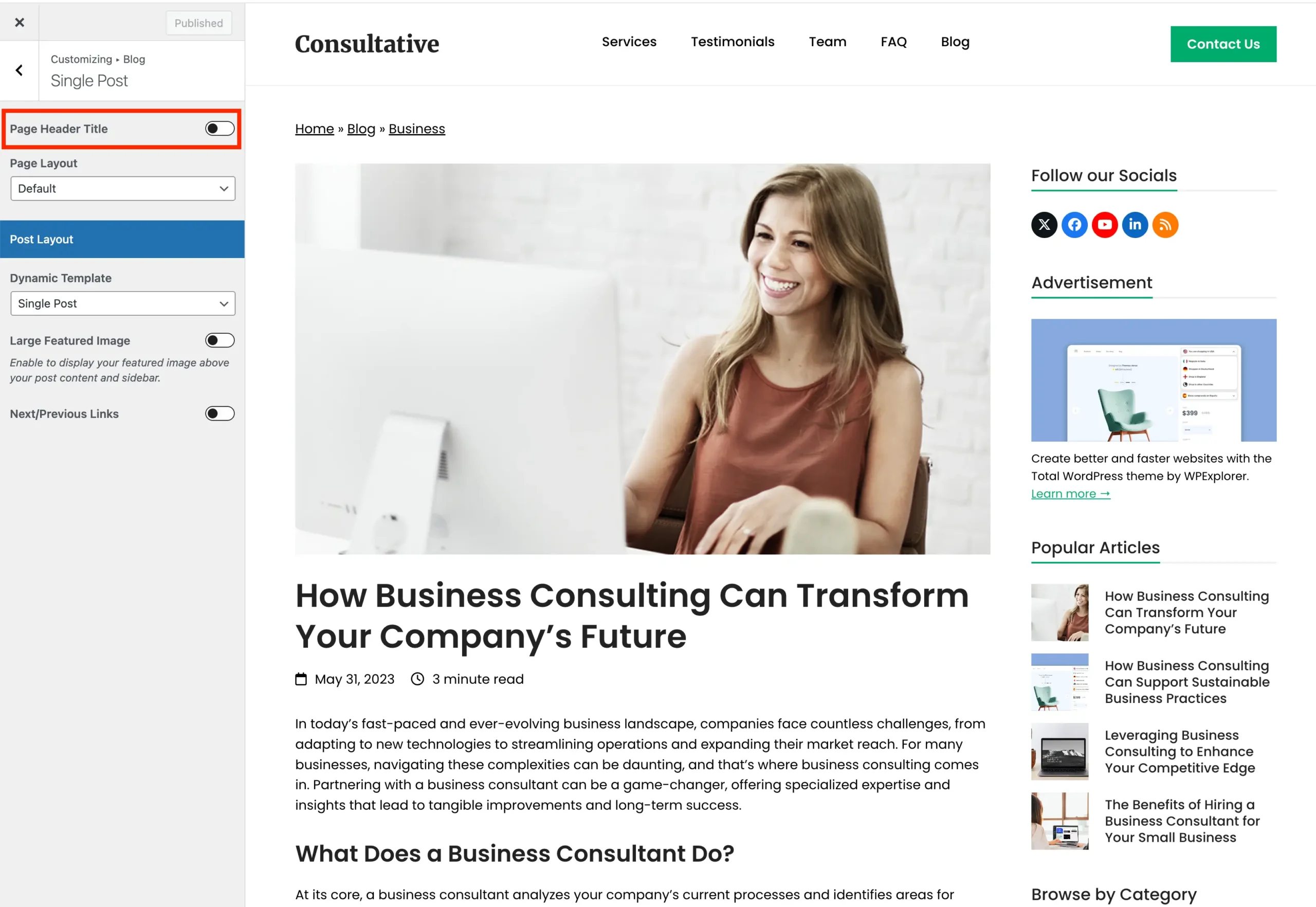Total Customizer single post page header title on off toggle