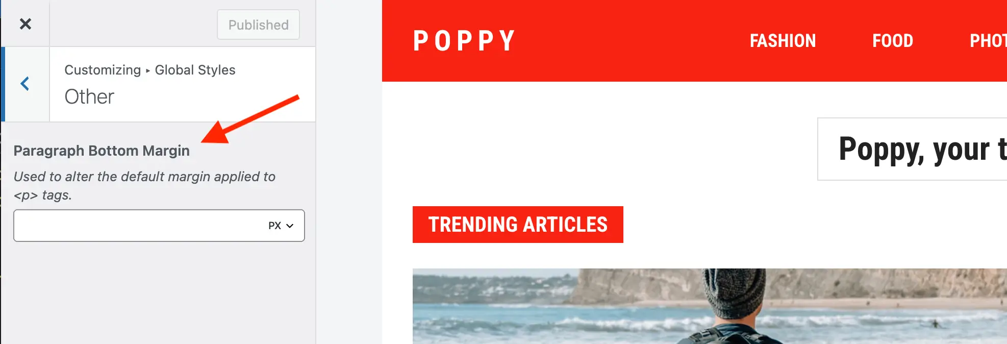 Total customizer field paragraph bottom margin