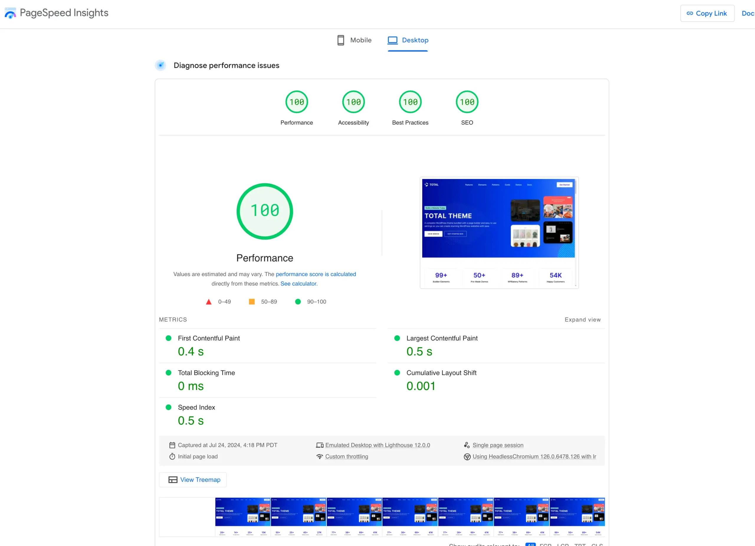 Total WordPress Theme Google Page Insights Score